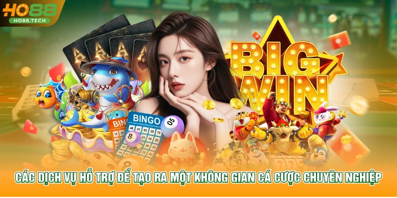 Các dịch vụ hỗ trợ để tạo ra một không gian cá cược chuyên nghiệp