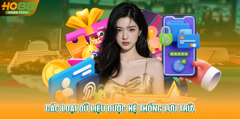 Các loại dữ liệu được hệ thống lưu trữ