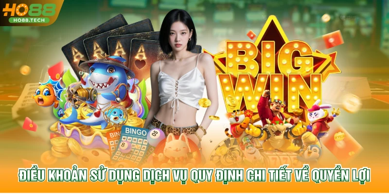 Điều khoản sử dụng dịch vụ quy định chi tiết về quyền lợi