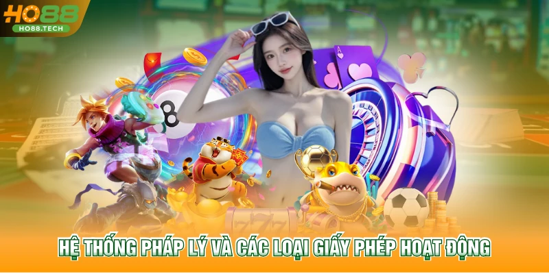 Hệ thống pháp lý và các loại giấy phép hoạt động