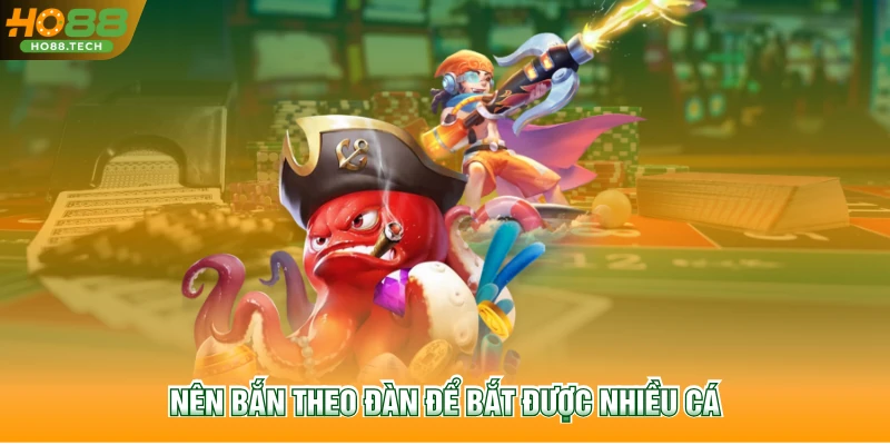 Nên bắn theo đàn để bắt được nhiều cá