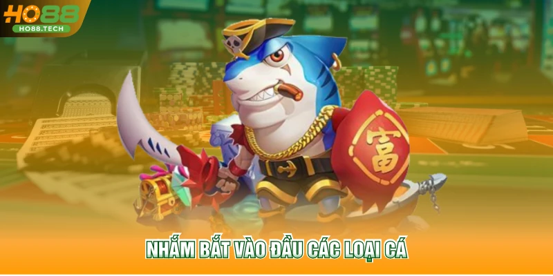 Nhắm bắt vào đầu các loại cá