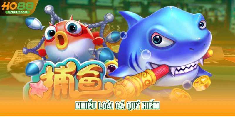 Nhiều loài cá quý hiếm