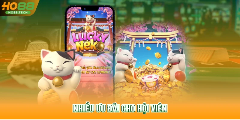 Nhiều ưu đãi cho hội viên