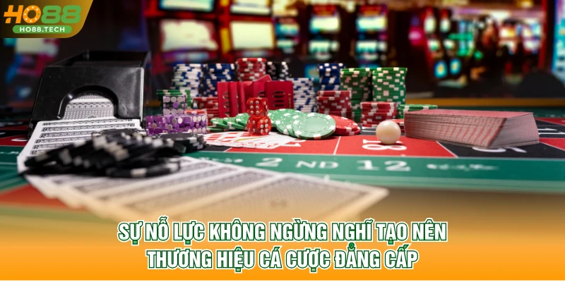 Sự nỗ lực không ngừng nghĩ tạo nên thương hiệu cá cược đẳng cấp