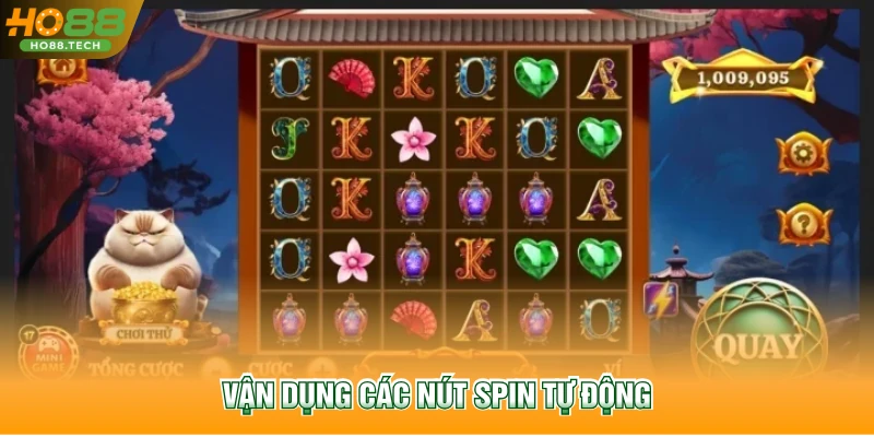 Vận dụng các nút spin tự động